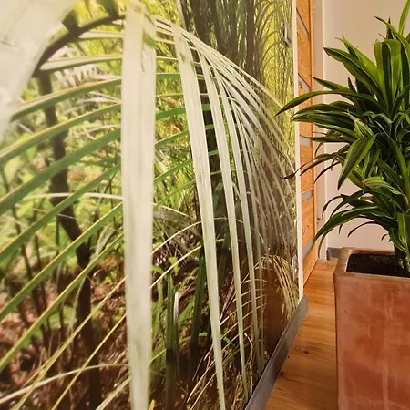 Apartamento Ogrody Nad Jeziorem *