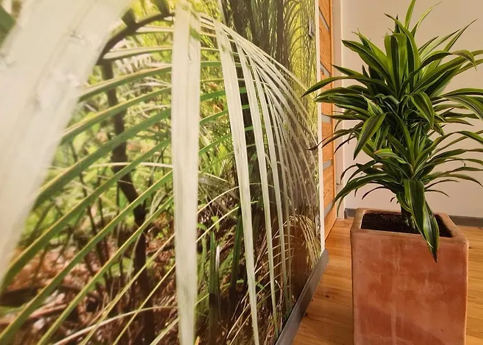 Apartment Ogrody Nad Jeziorem *